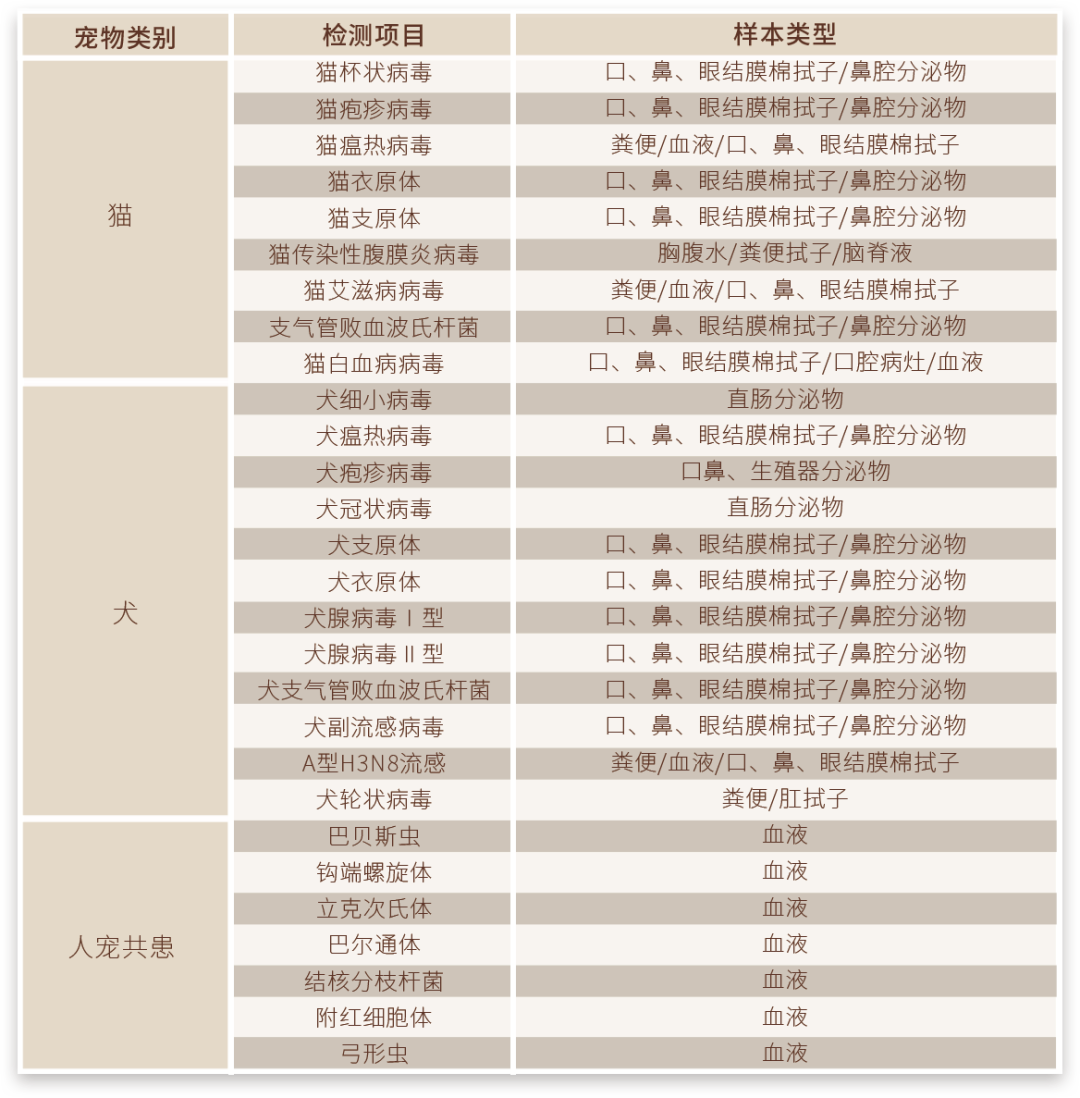 宠物医疗丨宠物微型荧光定量PCR仪